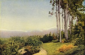 Un paesaggio della California meridionale vicino a Redlands (foto a colori) da American Photographer