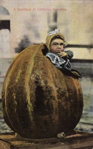 Un esemplare di zucche della California da American Photographer