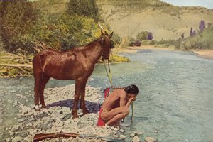 Guerriero Apache, Rio Navaho, Arizona