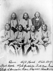 Bosse, Left Hand, White Wolf, Black Kettle, White Antelope, Bull Bear, Neva: Capi delle tribù Arapahoe, Sioux, Cheyenne e Kiowa, c.1860-68 da American Photographer