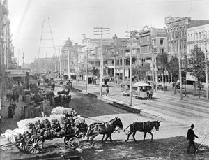 Canal Street, New Orleans, Louisiana, c.1890 da American Photographer