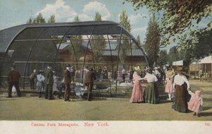 Central Park Menagerie, New York (foto) da American Photographer