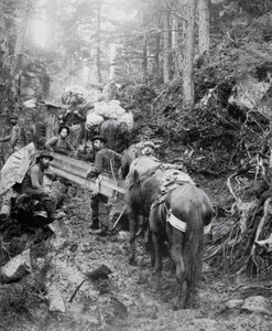 Scalare il sentiero Dyea sulla strada per il Passo Chilkoot durante la corsa all