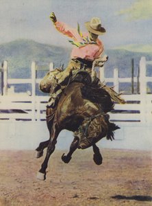 Cowboy che doma un cavallo da American Photographer