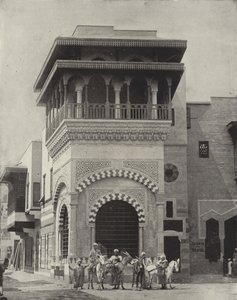 Ragazzi con asini nella strada del Cairo da American Photographer