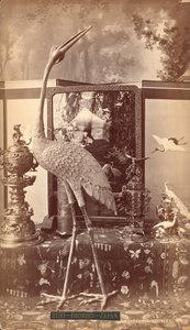 Mostra di bronzi giapponesi, Uccelli, Esposizione Internazionale del Centenario, Filadelfia da American Photographer