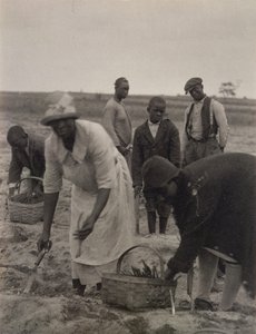 Lavoro nei campi da American Photographer