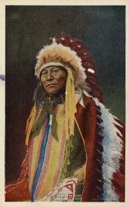 Orso Corno Cavo, capo indiano Sioux (foto) da American Photographer