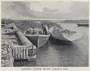 Sbarco delle barche di ostriche, Jamaica Bay da American Photographer