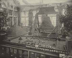 Campana della libertà in arance da American Photographer
