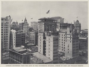 Guardando a sud-ovest dal tetto del Woodbridge Building, angolo di John e William Streets da American Photographer