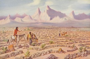 Labirinto mistico degli indiani del Mojave, vicino a Needles, California (foto a colori) da American Photographer