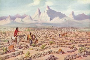 Labirinto Mistico degli Indiani Mojave, vicino a Needles, California da American Photographer