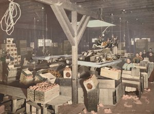 Imballaggio di arance a Redlands, pubblicato nel 1899 (foto) da American Photographer