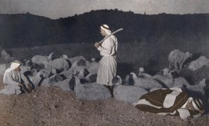 Pastori palestinesi osservano il loro gregge di notte (foto a colori) da American Photographer