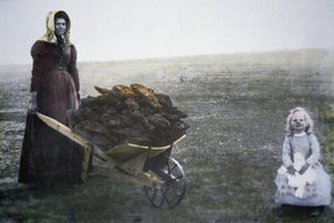 Donna pioniera che raccoglie sterco di bovino, Kansas, c.1880 da American Photographer