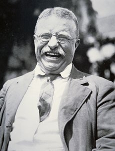 Il presidente Theodore Roosevelt, c.1917 (foto in b/n) da American Photographer