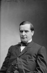 Presidente William McKinley, 1870-80 da American Photographer
