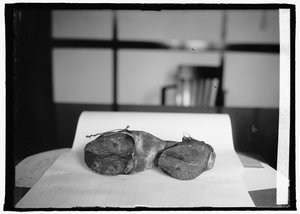 Unità di proibizione (Scarpe da mucca), 28 giugno 1924