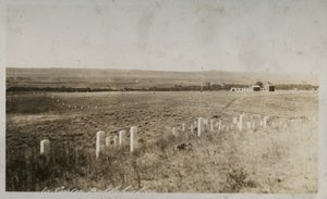 Scena al campo di battaglia di Custer da American Photographer