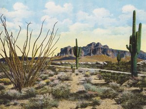 Montagna e deserto di Superstition, "Apache Trail" (foto a colori) da American Photographer