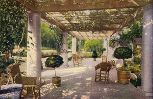 La pergola, una caratteristica della casa californiana (foto a colori)