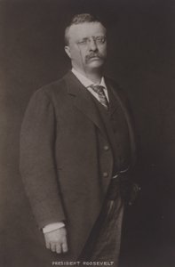 Theodore Roosevelt, 26° Presidente degli Stati Uniti, 1904
