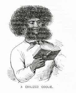Un coolie civilizzato, illustrazione da Appletons Journal, 4 maggio 1872 da American School
