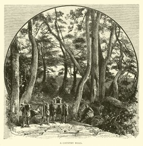 Una strada di campagna da American School