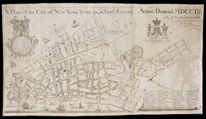 Piano della città di New York da un rilevamento effettivo