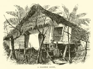 Una casa siamese da American School