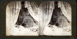 Un piccolo cuore solitario, 1901 (stereografia)
