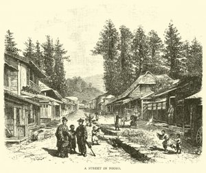 Una strada a Nikko da American School