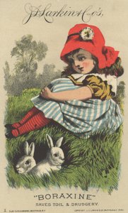 Pubblicità per Boraxine di J. D. Larkin & Co, 1882