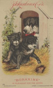 Pubblicità per Boraxine di J. D. Larkin & Co, 1882 da American School