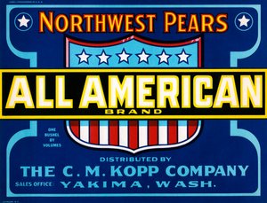 Etichetta di cassa di frutta All American Brand, c.1920 da American School