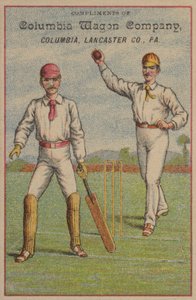 Cricket americano da American School