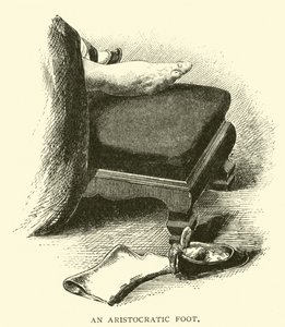 Un piede aristocratico da American School
