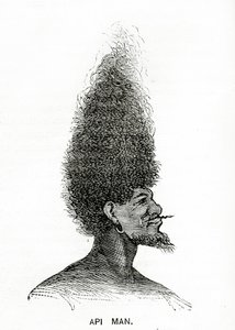 Uomo Api, illustrazione da Appletons Journal, 4 maggio 1872 da American School