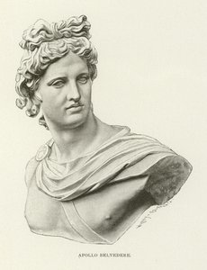 Apollo del Belvedere da American School