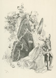 Bottom e Titania, personaggi della commedia Sogno di una notte di mezza estate di William Shakespeare (incisione)