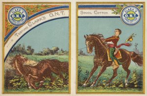Ragazzo che si sforza a cavallo