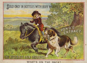 Ragazzo che cavalca un pony con il suo cane da American School