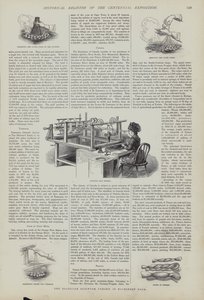 Mostra del baco da seta brasiliano nella Machinery Hall, Centennial Exposition, Philadelphia, Pennsylvania, USA da American School