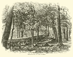 Trincea nel bosco, luglio 1863