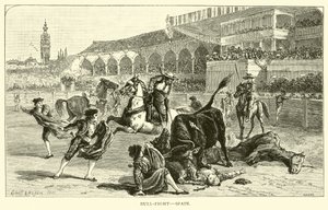 Corrida, Spagna da American School