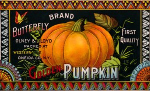 Etichetta del prodotto Butterfly Golden Pumpkin da American School