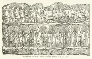 Prigionieri di Guerra; dal Palazzo di Asshur-bani-pal