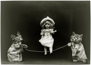 Curiosità del gatto, 1891