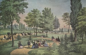 Central Park, il viale da American School